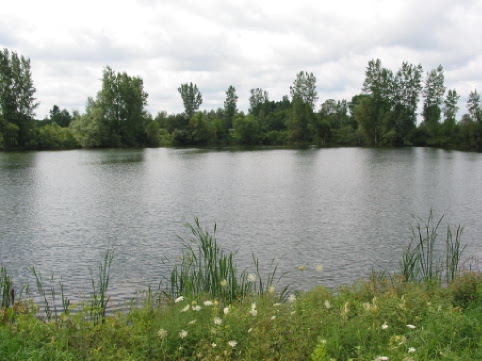 Vue du lac